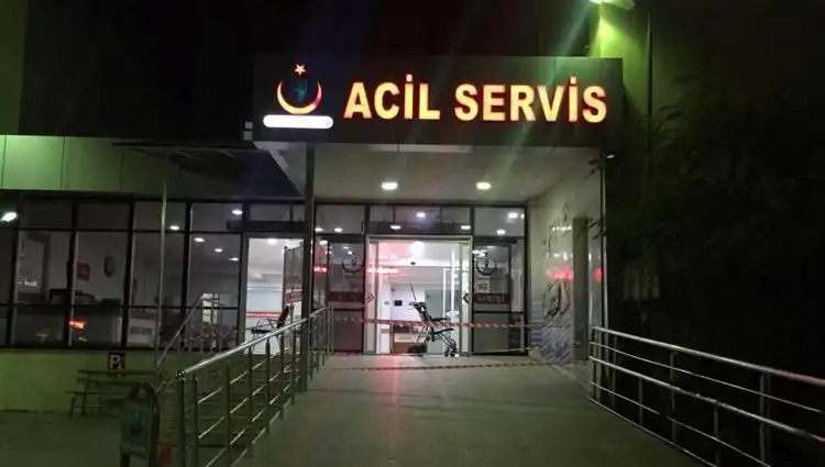 Kardeş Kavgasında Kan Aktı: Aile İçindeki Drama Dikkat!
